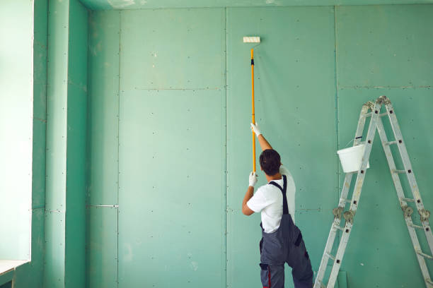  North Haledon, NJ Mold Removal Pros