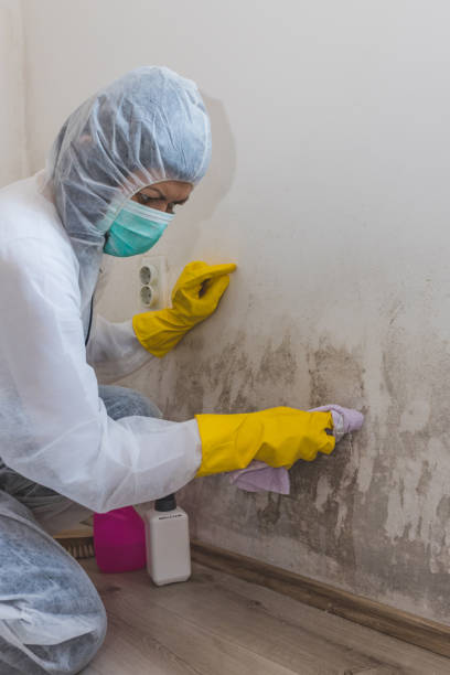 Best Real Estate Mold Inspection  in North Haledon, NJ