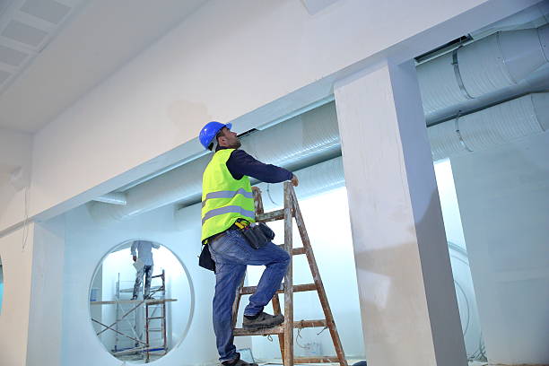 Best Mold Documentation for Insurance Claims  in North Haledon, NJ